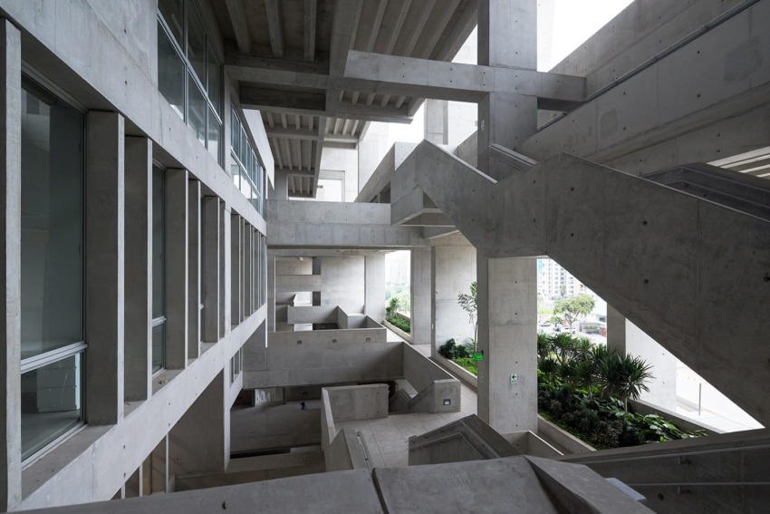 Modern concrete building interior with angular staircases, glass windows, and lush indoor plants.