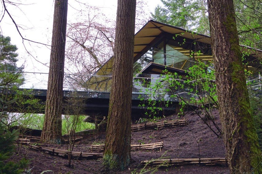 Modern glass house surrounded by tall trees and lush greenery on a sloped forested area.