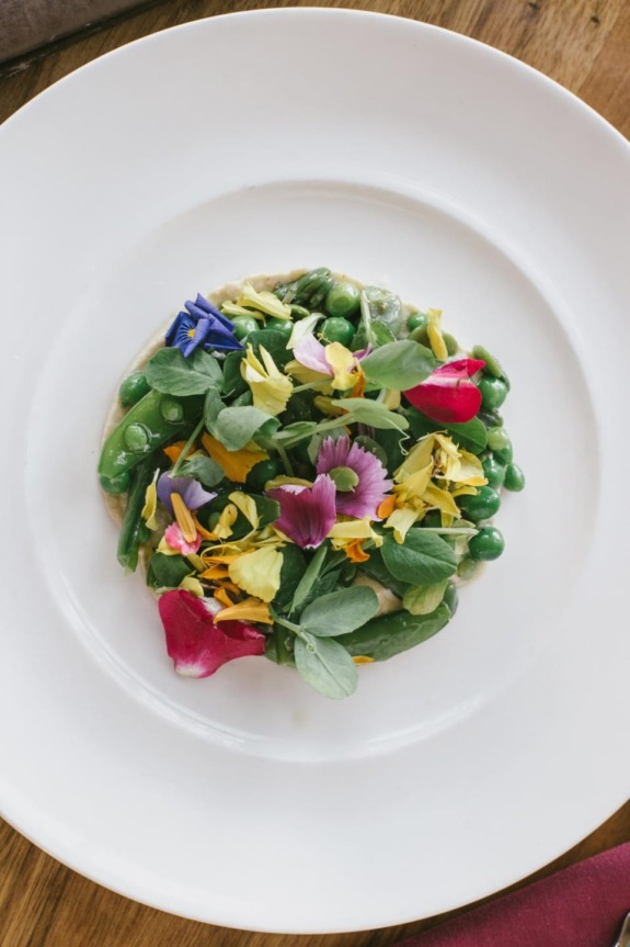 Colorful salad with edible flowers, peas, and greens arranged artfully on a white plate on a wooden table