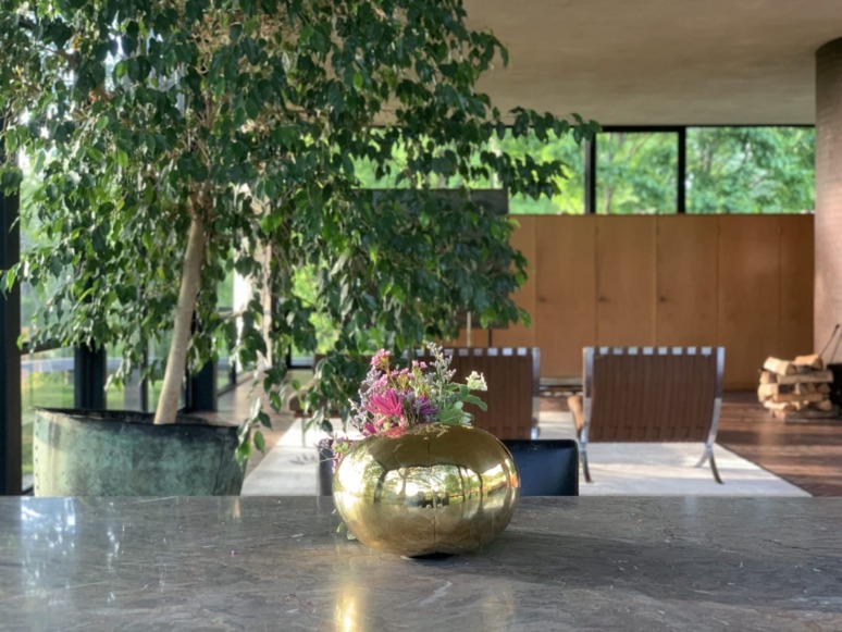 Golden vase with colorful flowers on marble table, large potted tree in modern house with chairs and wooden wall in background