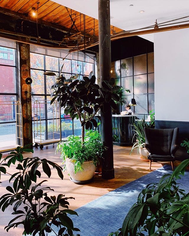 Modern lobby with large plants, wooden ceiling, and floor-to-ceiling windows allowing natural light to illuminate the space.