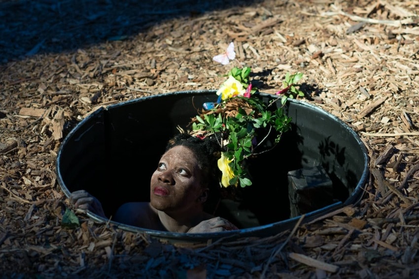 Person emerging from the ground surrounded by flowers and wood chips, looking upwards into the sunlight.