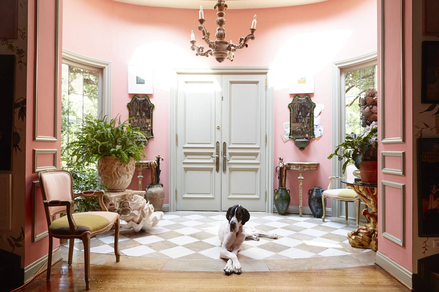 Spacious pink foyer with a chandelier and a large dog lying on a checkered floor, surrounded by plants and elegant decor.