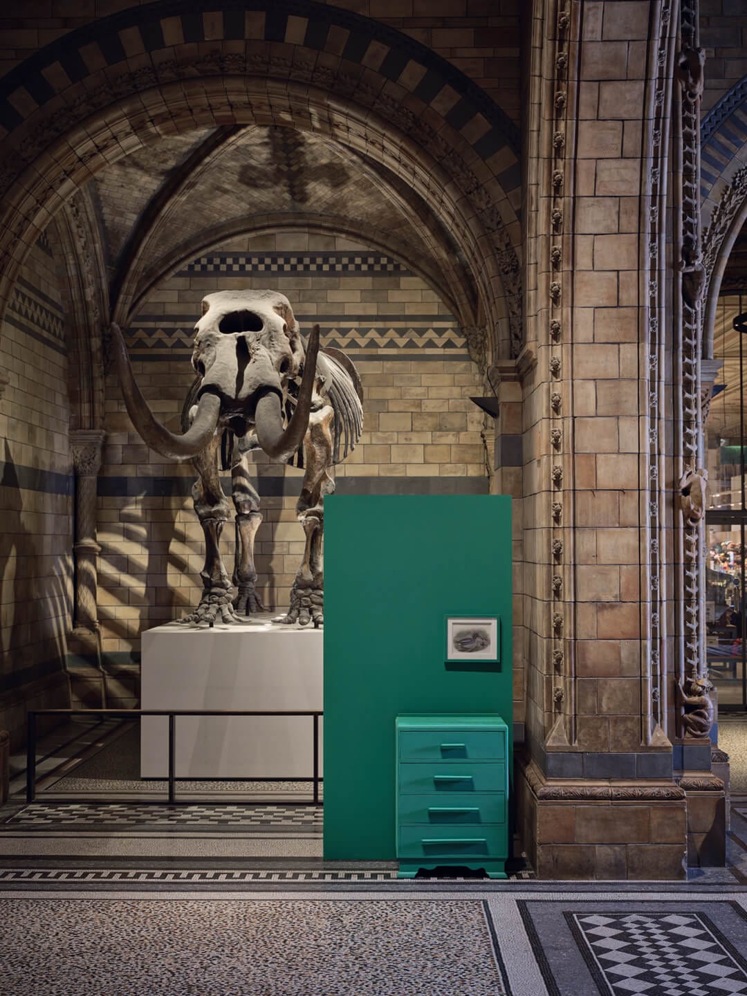Mammoth skeleton display in a historic building with arches, green information stand in foreground.