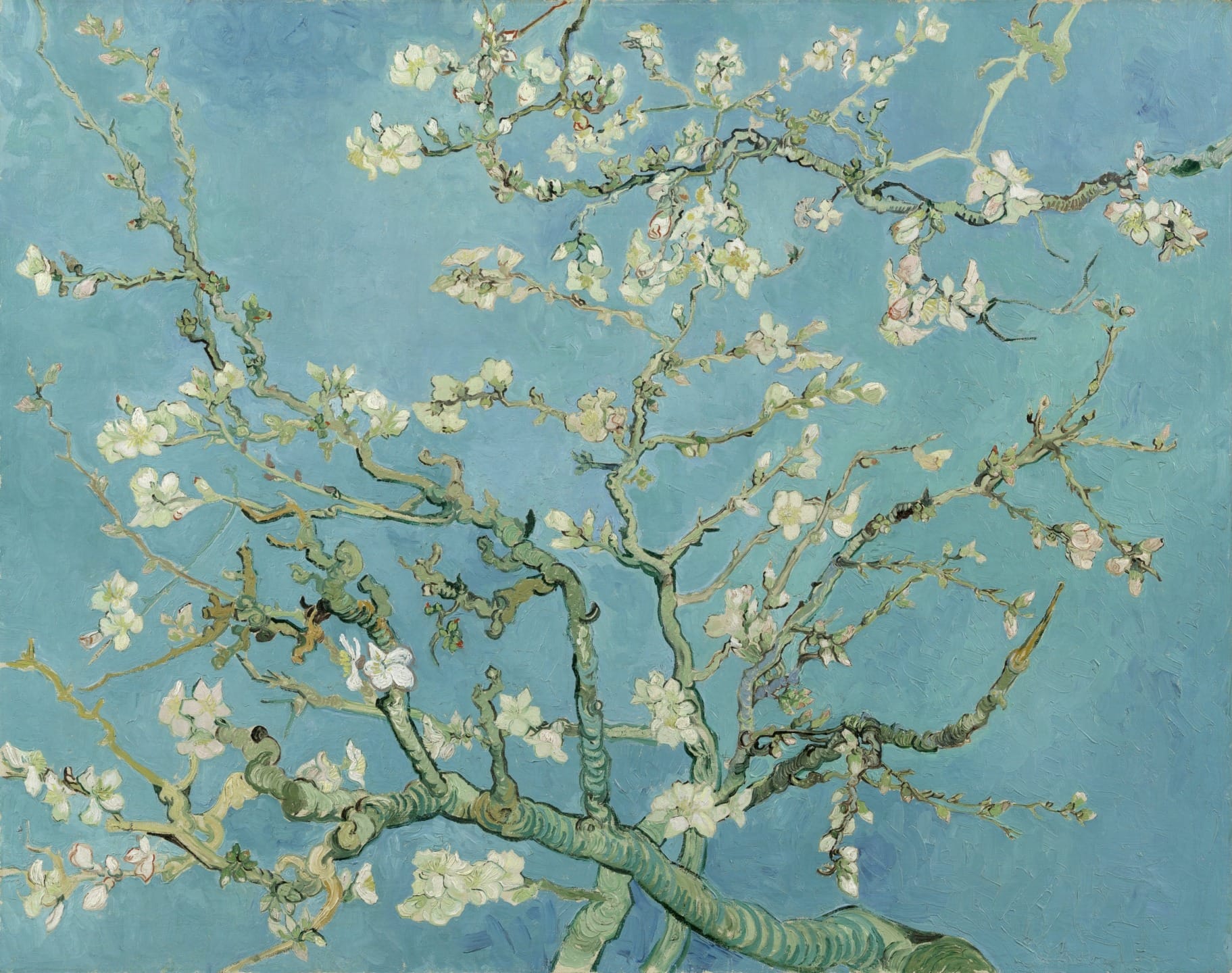 Van Gogh's "Almond Blossoms" painting depicting blossoming tree branches against a blue sky background.