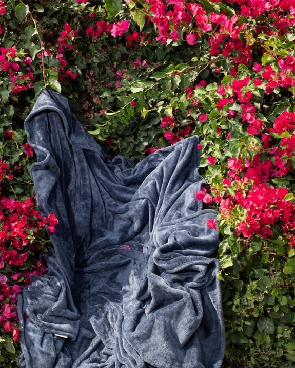 A soft dark gray blanket draped over vibrant pink flowers and lush green leaves.