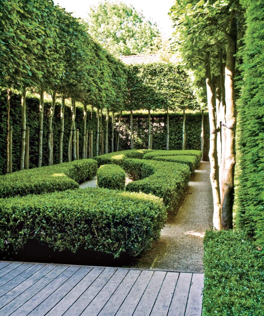 manicured garden with neatly trimmed hedges, gravel pathways, and tall trees lining the sides