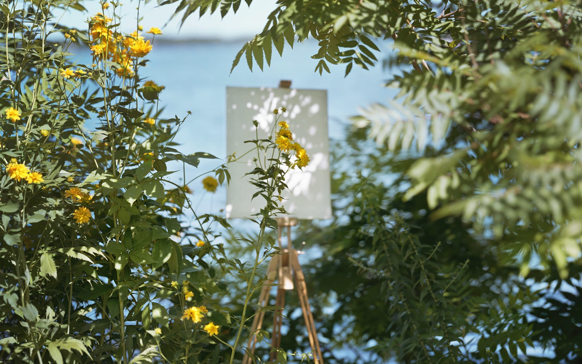 Canvas on easel surrounded by yellow flowers and green leaves near a body of water under the sunlight.