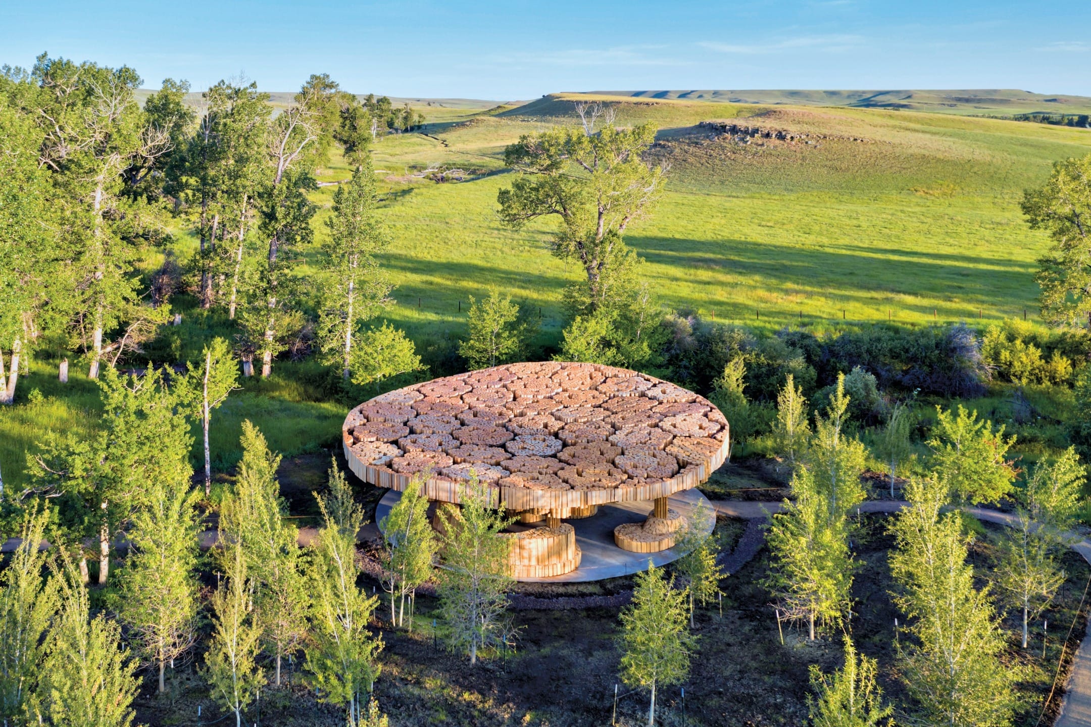 Aerial view of a circular wooden structure resembling a tree ring surrounded by lush greenery and trees in a scenic landscape