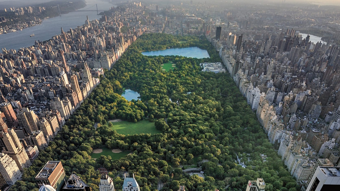 Aerial view of Central Park in New York City surrounded by skyscrapers on a clear day