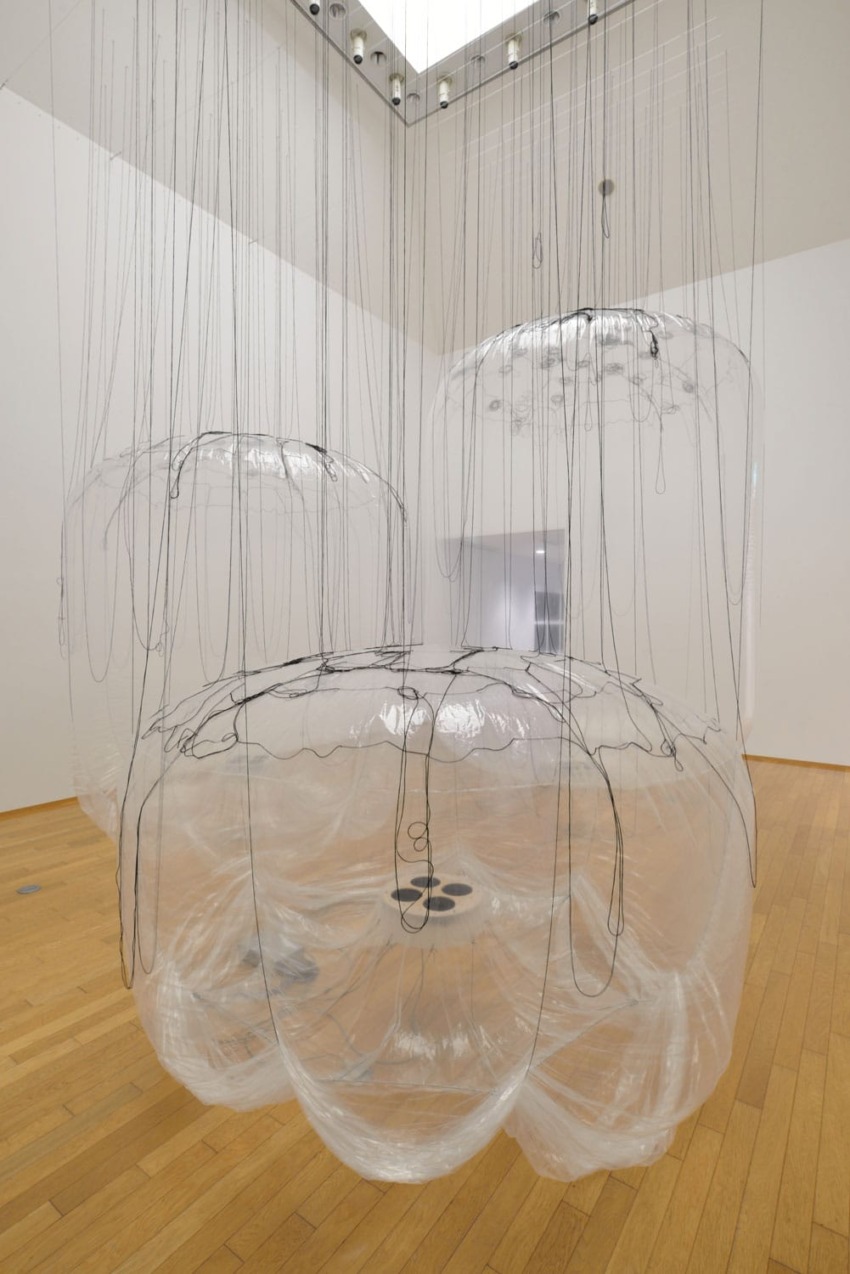 Installation art featuring large, transparent, hanging spheres with black lines in a gallery space with wooden flooring.