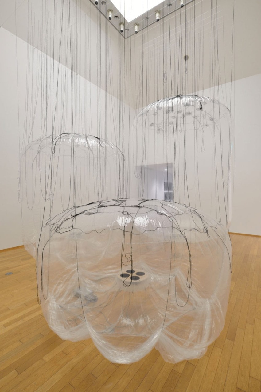 Installation art featuring large, transparent, hanging spheres with black lines in a gallery space with wooden flooring.