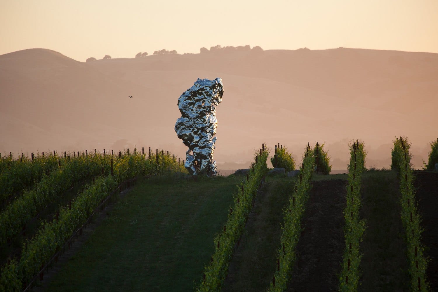 Silver abstract sculpture in vineyard during sunset, with rolling hills in the background.