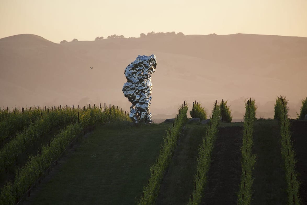 Metallic sculpture in vineyard with rolling hills and soft sunset glow in the background.
