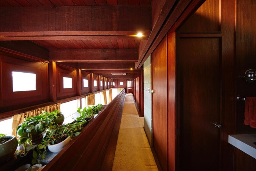 Wooden hallway with potted plants lined along the left side, showcasing a minimalist interior design.