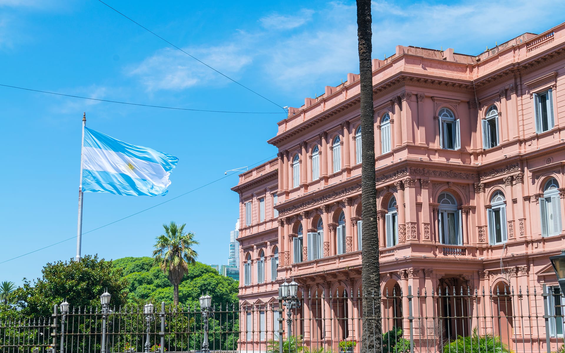 Pink building with ornate details in sunny day, large Argentine flag flying, surrounded by palm trees and greenery.