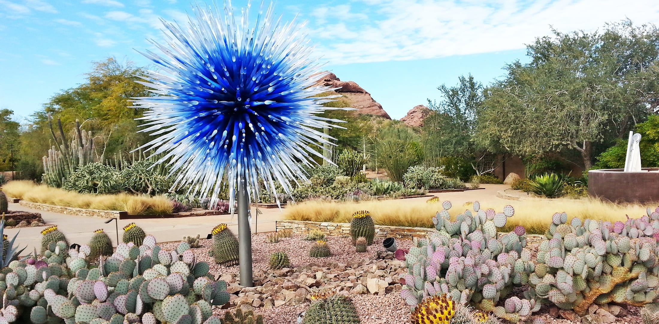 Blue glass sculpture in desert garden surrounded by cacti and desert plants, with rocky hills in the background.