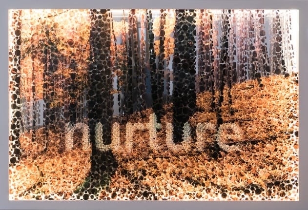 Artwork featuring autumn forest with abstract patterns and the word "nurture" integrated into the scene.