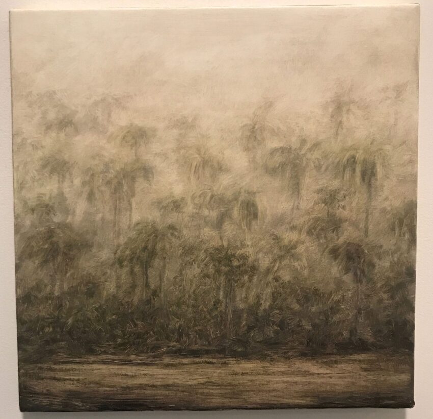 Misty landscape with tall trees obscured by fog, creating an ethereal and serene atmosphere in a natural setting.