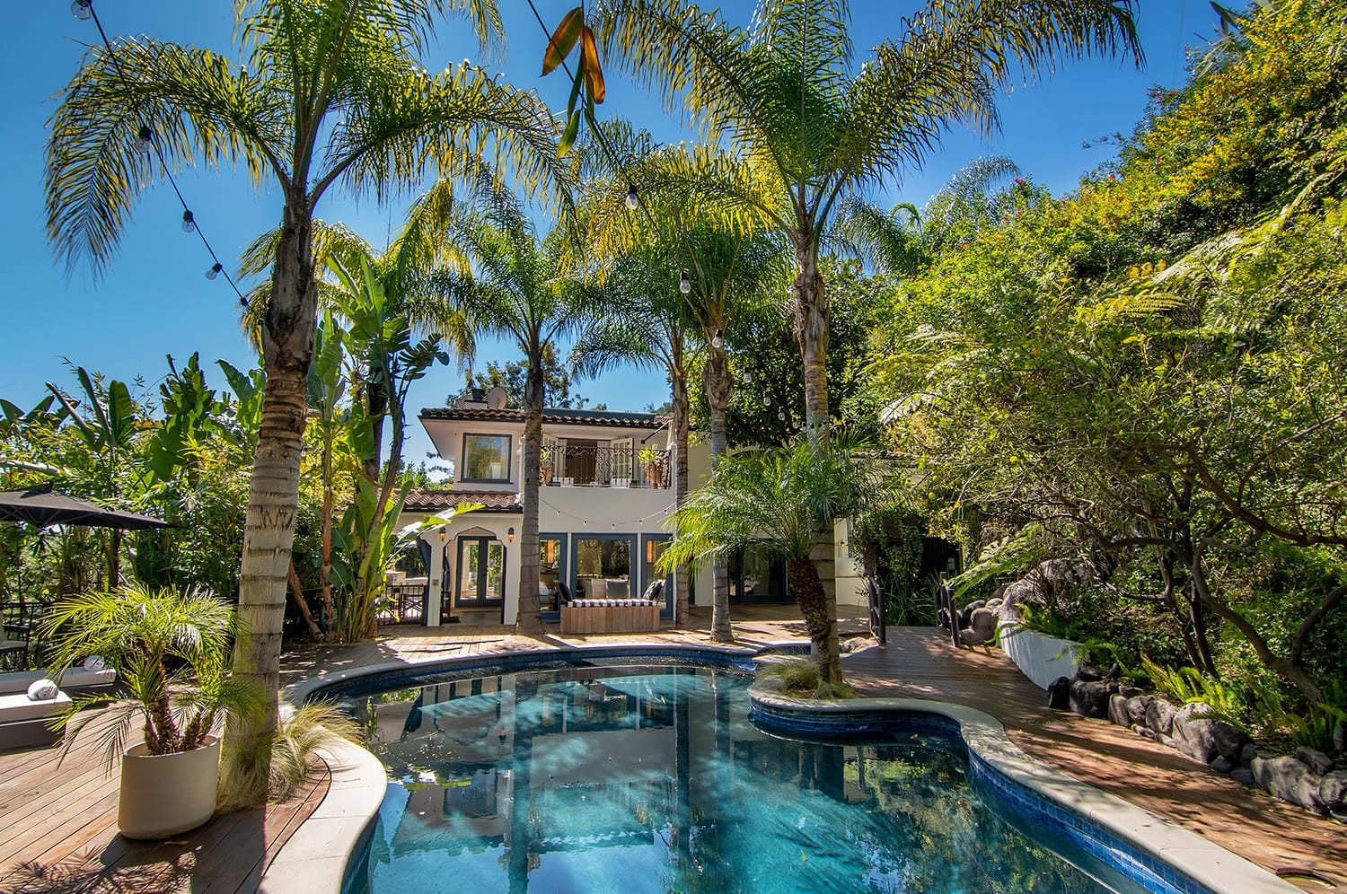 Tropical backyard with a pool, lush palm trees, and a two-story white house under a clear blue sky.