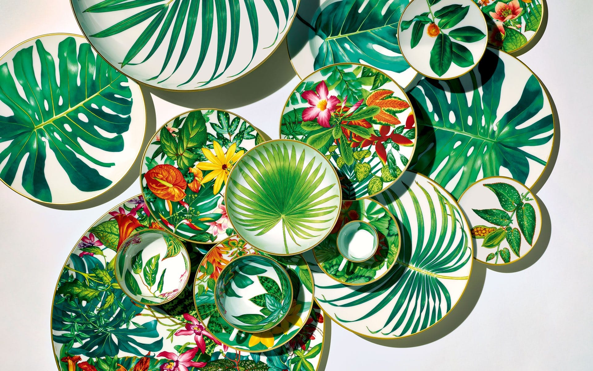 Assorted tropical-themed ceramic plates with vibrant leaf and floral designs arranged on a white background