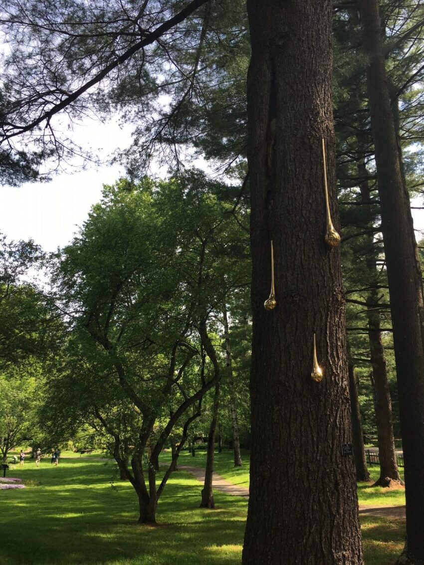 Golden sap-like sculptures hang from a tree in a lush, green park setting with walking paths and people in the distance.
