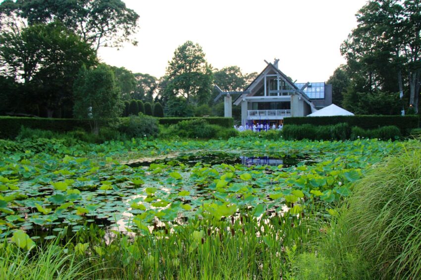 Lush garden pond with lily pads in foreground and a modern house with large windows in the background under a clear sky.