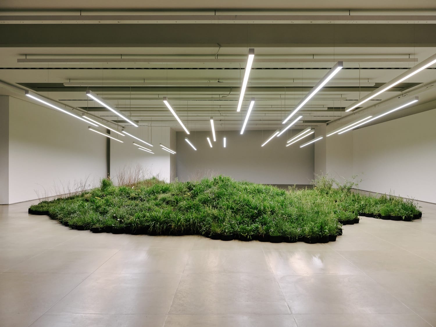 Indoor modern art installation with green plants arranged in the center under bright linear ceiling lights.