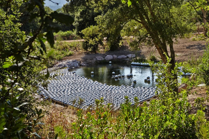 Art installation of reflective spheres on a small pond surrounded by trees and greenery in a natural outdoor setting.