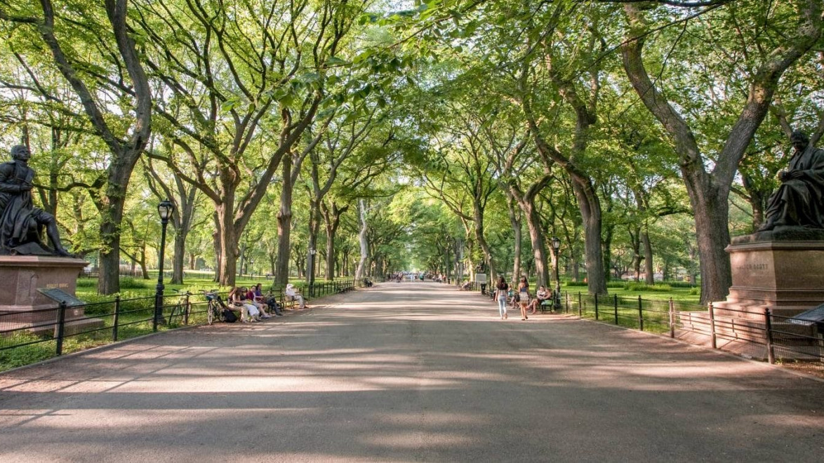 A wide tree-lined path in a park with people sitting and walking, flanked by two statues on either side.