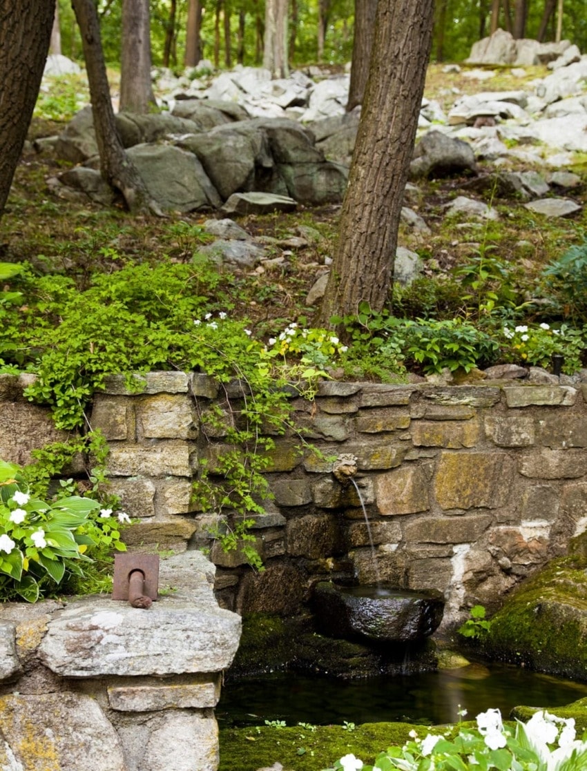 Stone wall with water spout surrounded by lush greenery, white flowers, and woodland background.
