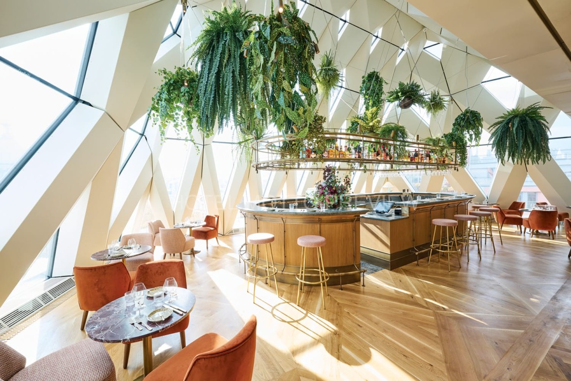 Modern cafe interior with tall plants, wooden flooring, and orange chairs bathed in natural light from geometric windows.