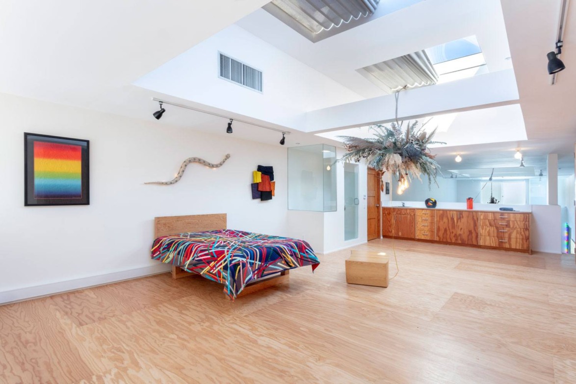 Modern bedroom with colorful bedspread, abstract wall art, wooden flooring, and large hanging plant under skylights.