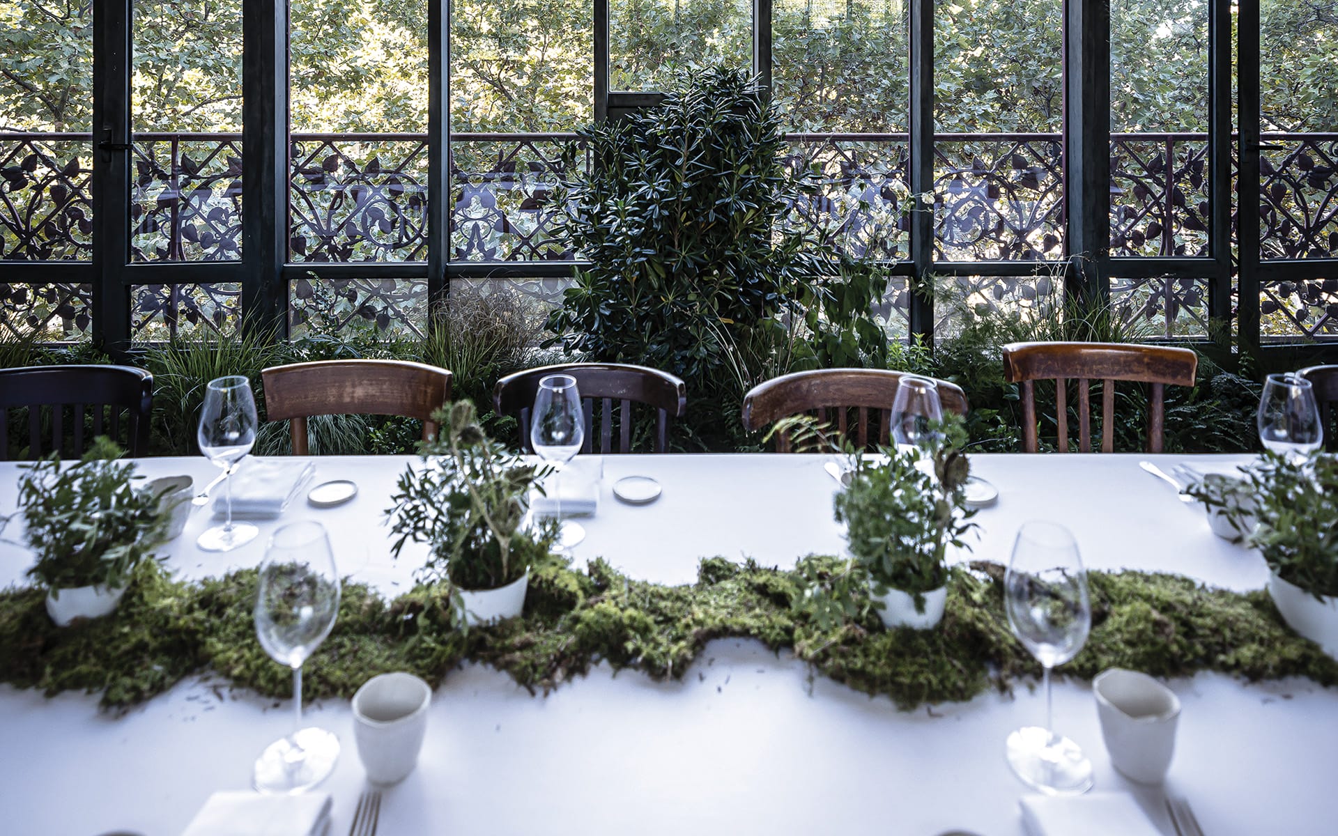 Elegant dining table set with greenery, glassware, and cutlery in a sunlit room with large windows and garden view.