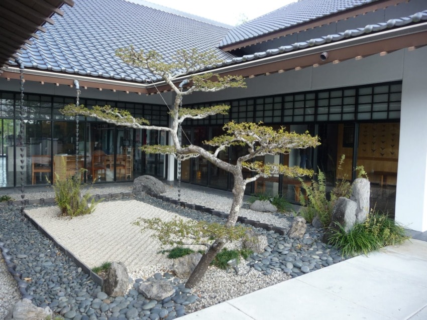 Japanese-style courtyard with a rock garden, bonsai tree, and modern building in the background.