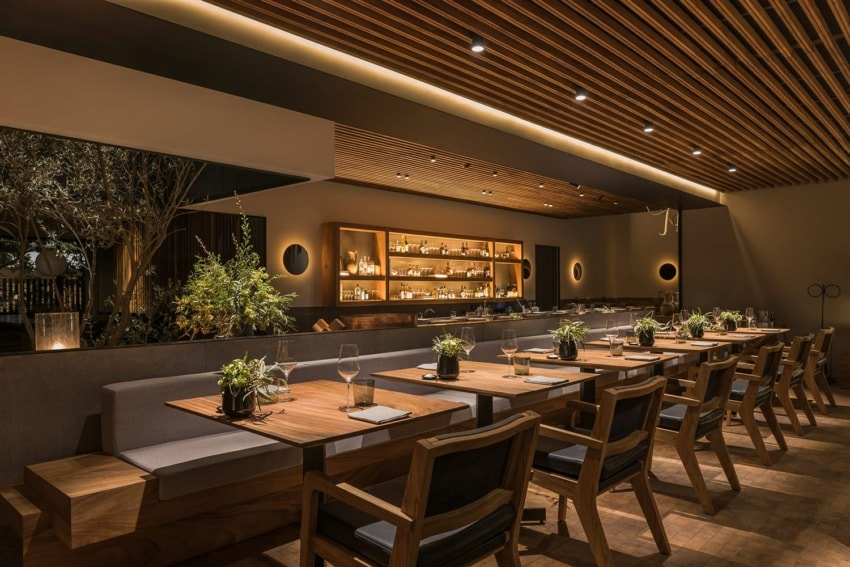 Modern restaurant interior with wooden tables, plant decorations, and ambient lighting.