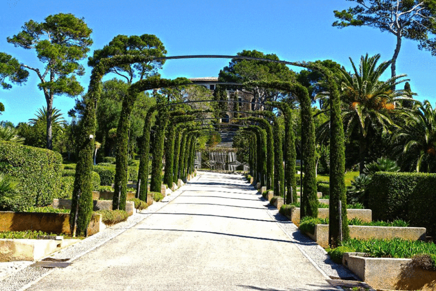 Pathway lined with pruned trees leading to a building, surrounded by lush greenery and a clear blue sky in the background.