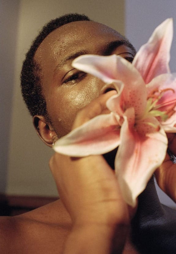 Person holding a large pink lily flower close to their face, with a thoughtful expression.