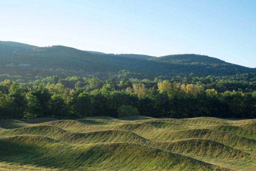 Rolling green hills with a backdrop of dense forested mountains under a clear blue sky.