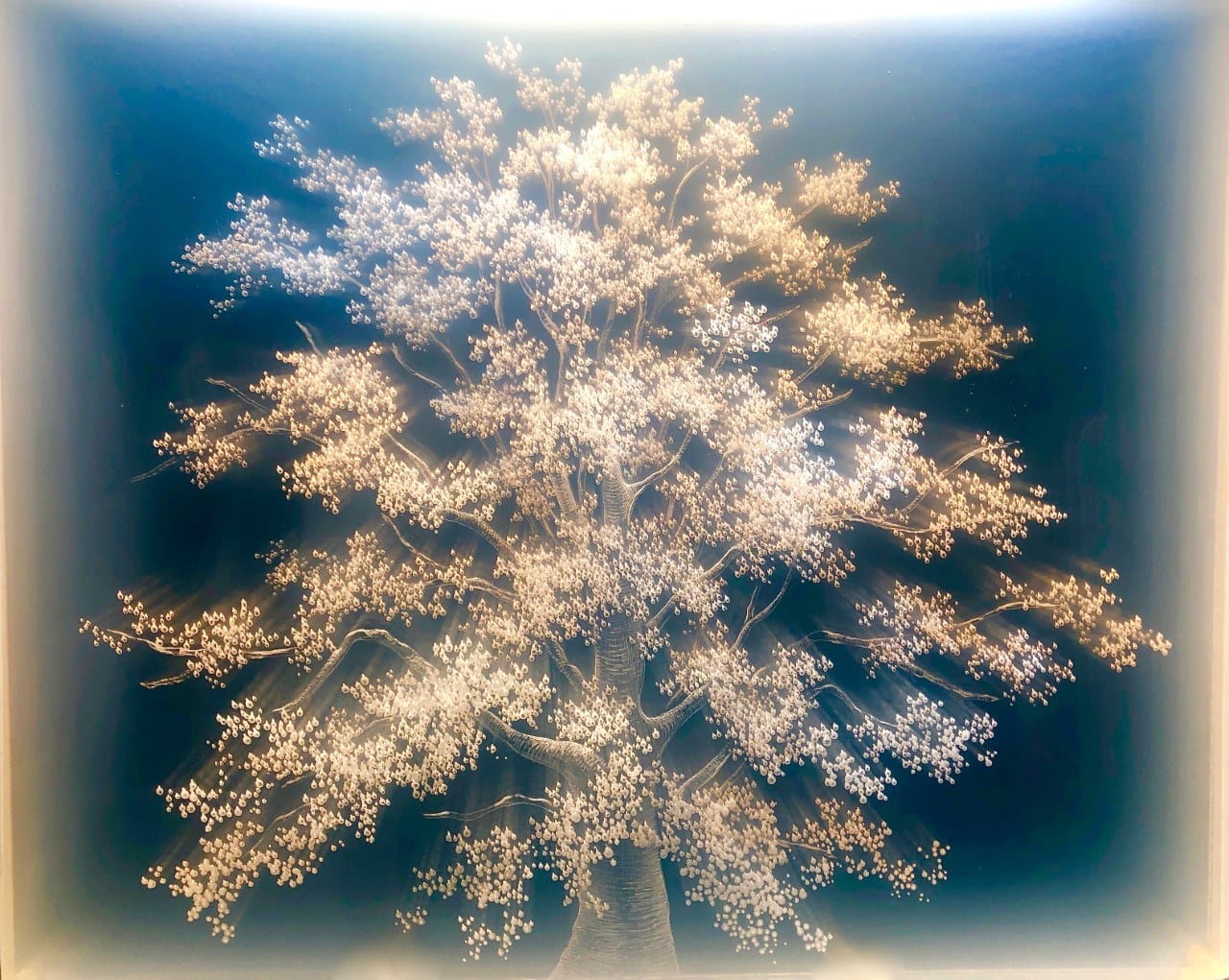 Glowing tree artwork with delicate, illuminated branches against a dark background, creating a dreamy, ethereal effect.