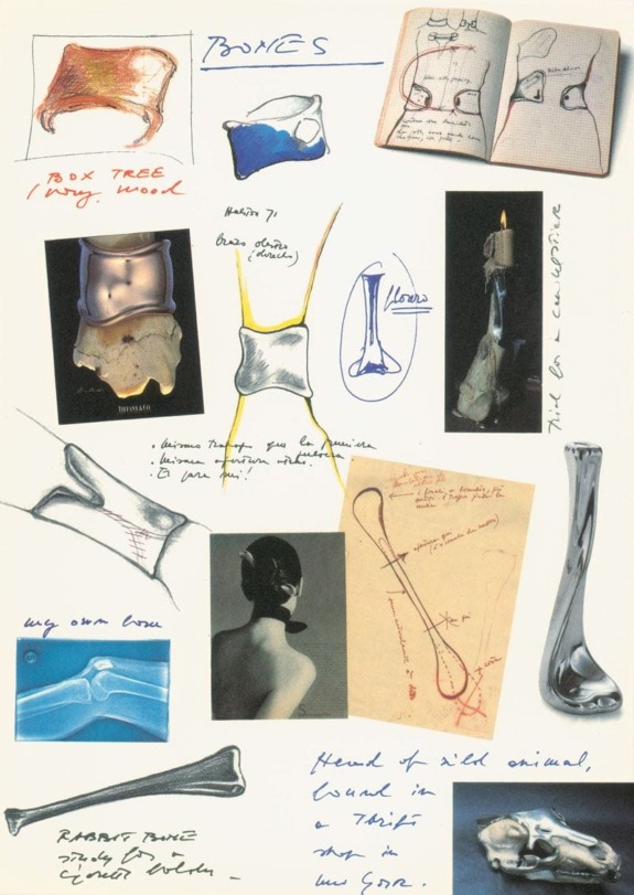 Collage of sketches and objects, including bones, sculptures, and handwritten notes, on a white background.