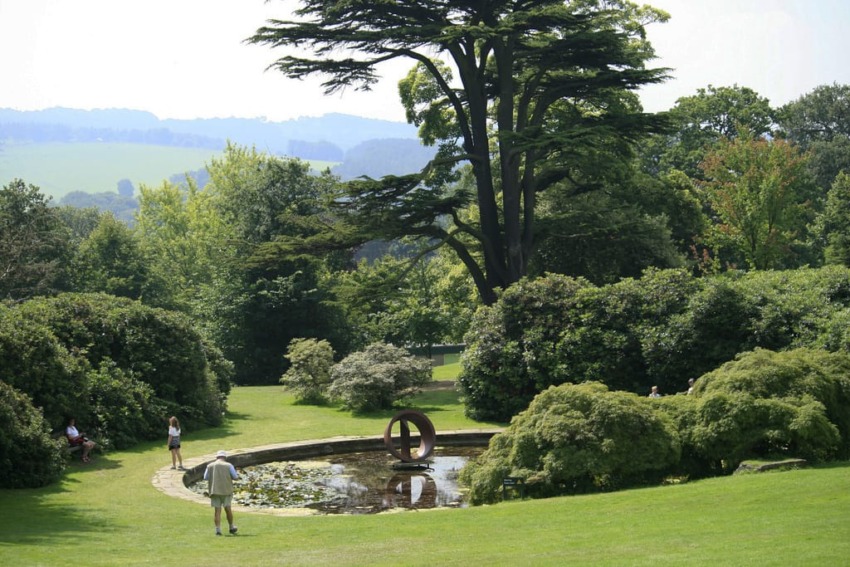 Man walking in a lush garden with a pond, surrounded by greenery and large trees under a clear sky.