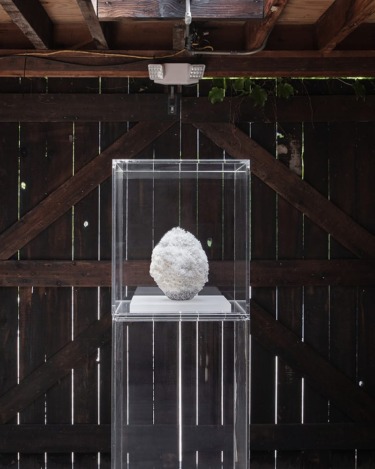 Large white crystal on display in a transparent case, set against a wooden fence backdrop with overhead lighting.