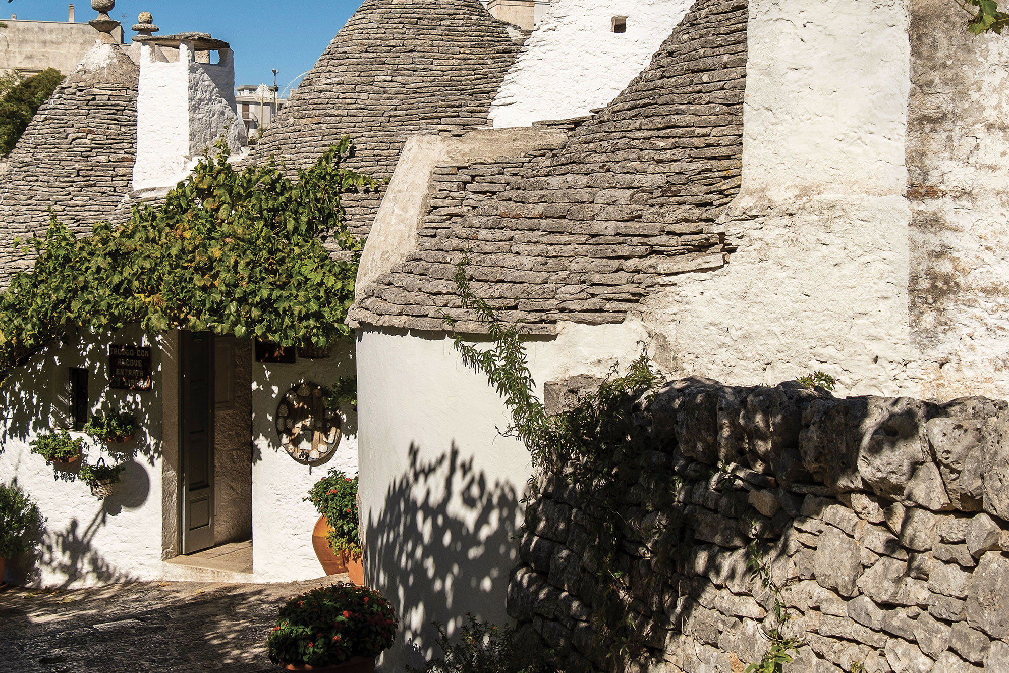 Traditional Italian trullo houses with conical roofs and stone walls on a sunny day in a quaint village setting.