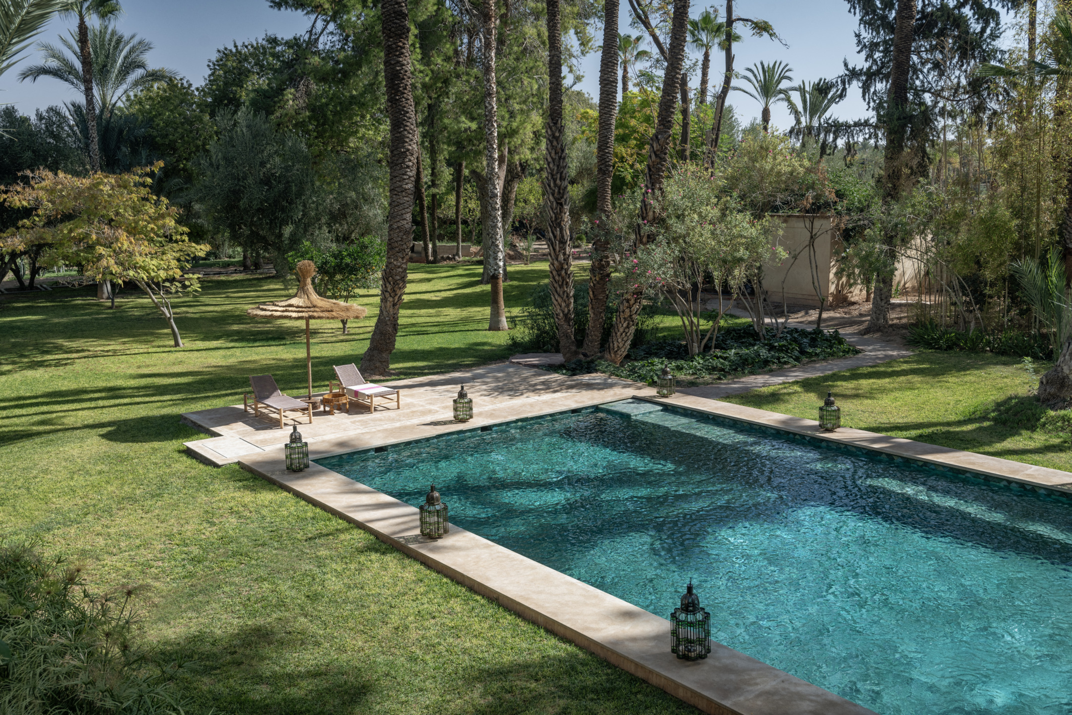 Luxurious swimming pool surrounded by lush green garden with palm trees and two lounge chairs under a straw umbrella