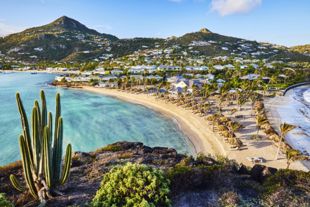 Aerial view of a tropical beach with turquoise waters, sandy shore, lush hills, and cacti in the foreground under a bright sky.