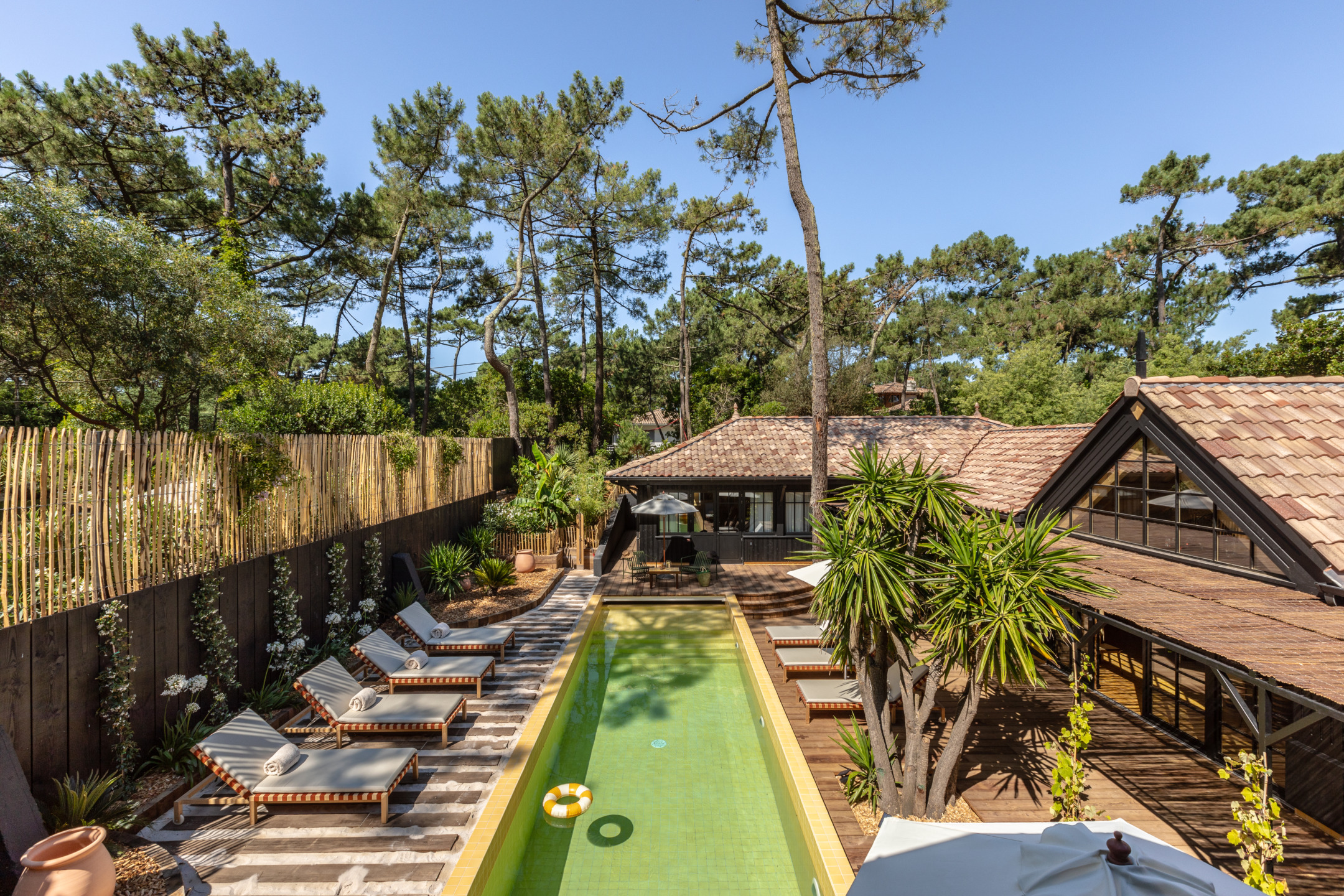 Outdoor pool area with lounge chairs, surrounded by lush trees and greenery under a clear blue sky.
