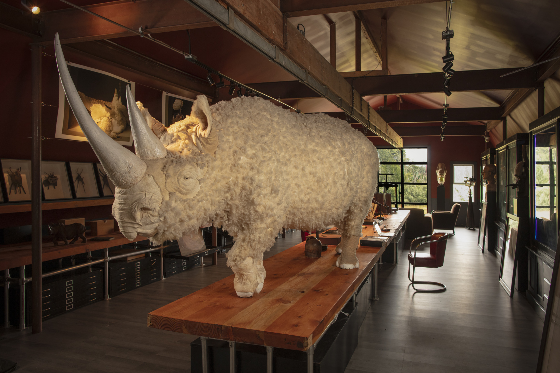 Taxidermy woolly rhinoceros with long horns on a wooden table in a stylish, art-filled room with large windows and natural light.