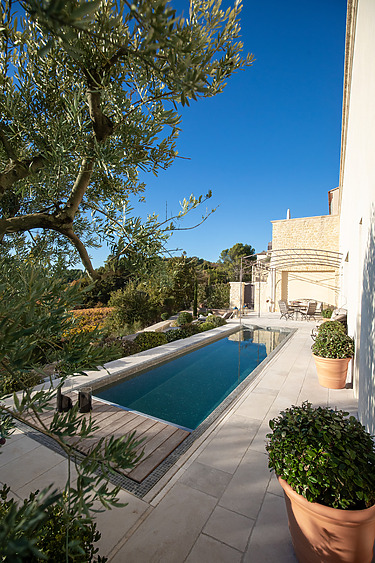 Modern backyard with a narrow swimming pool, surrounded by potted plants and olive trees, under a clear blue sky