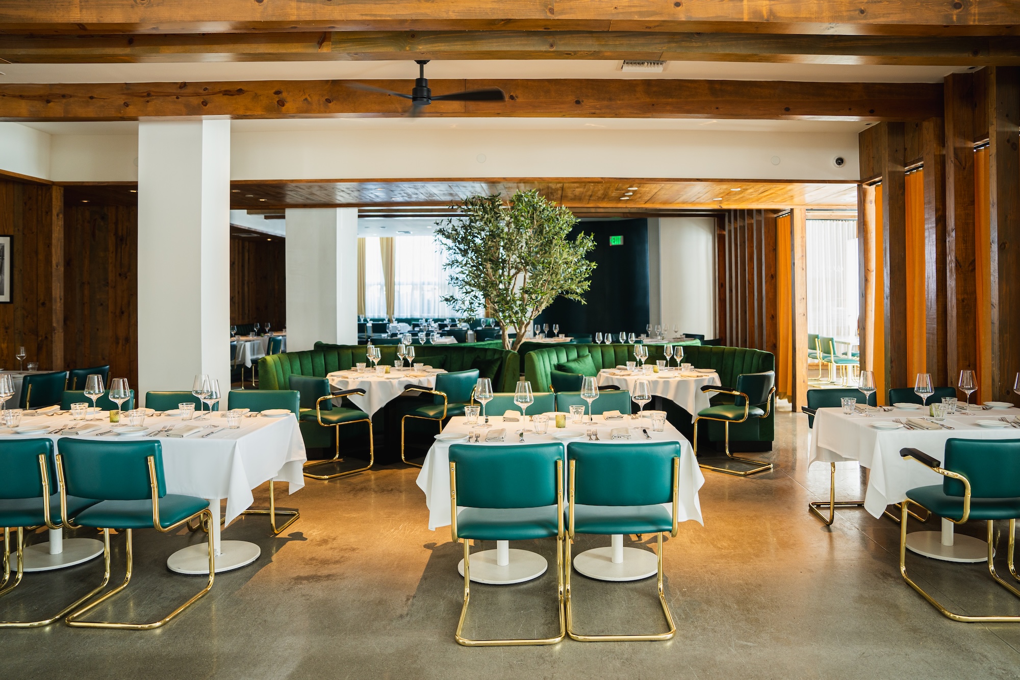 Modern restaurant interior with green chairs, white tablecloths, and a tree centerpiece, featuring wooden accents and natural lighting.